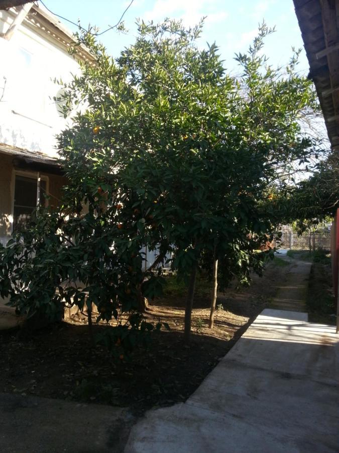 Guest House Yuzhnaya Palmira Pizunda Exterior photo